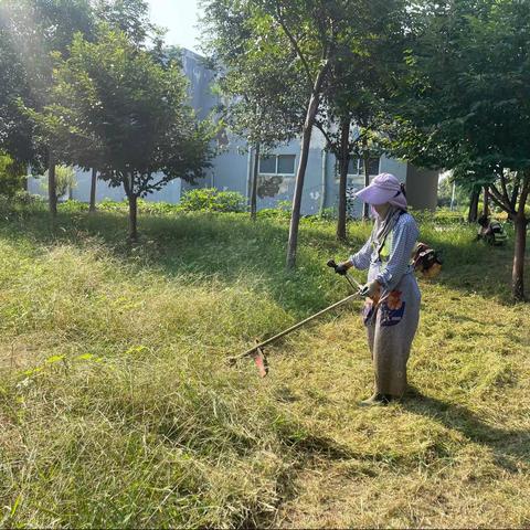 祥符区“三化、绿化”指挥部日常