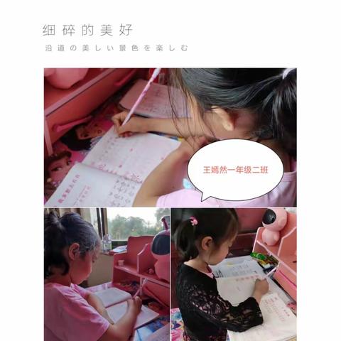 居家不误学 自律赢未来 ----新城小学居家学习自律之星