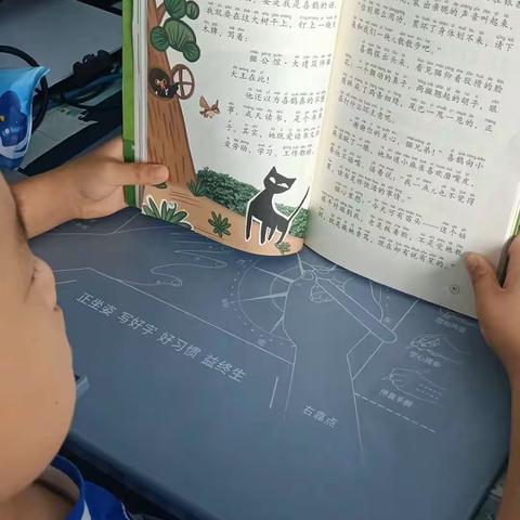 济宁市文昌阁小学李承睿的暑假生活