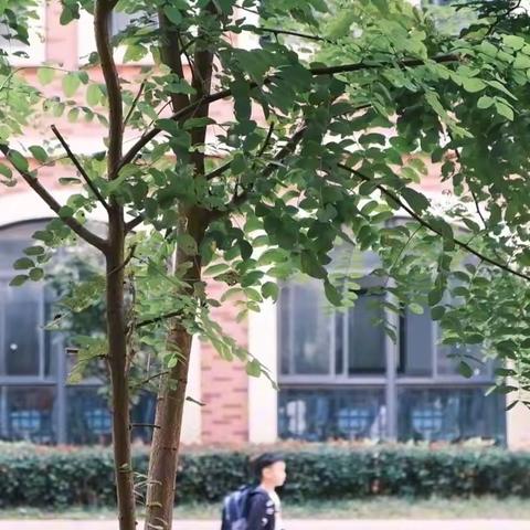 【校园大事记】宿豫区玉泉山路小学，十月大事记