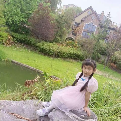 我眼中的夏天