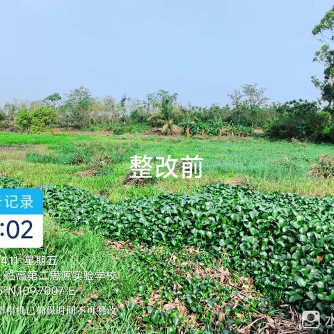东英镇助力六水共治，恢复水生态环境