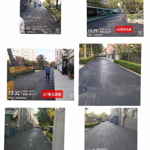 城建物业在您身边之怡景花园项目2023年十月份工作动态