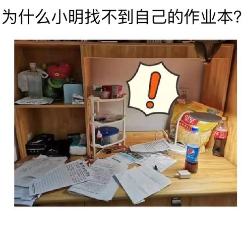 争当收纳整理小能手