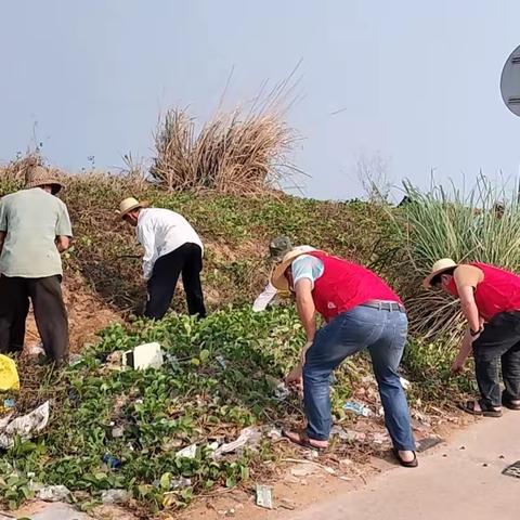 加强环境整治，提升村容村貌