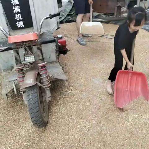 济宁市文昌阁小学二年级3班         韩雨萌