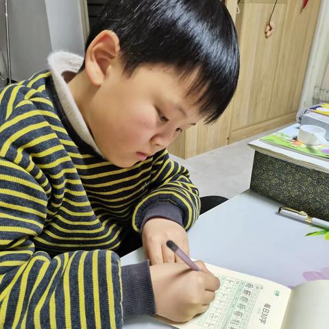 刘卓梾的寒假生活