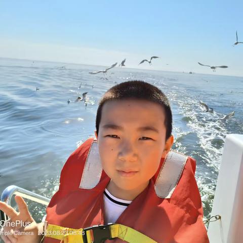 一次优越的愉快旅行