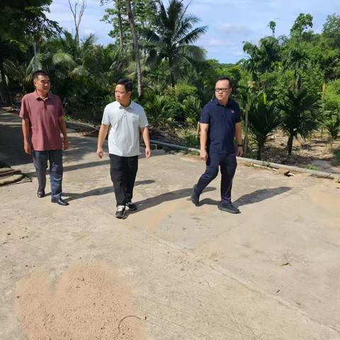 炎炎夏日防蚊忙，资规温情护民康——局长带队深入地质村指导基孔肯雅热防治工作