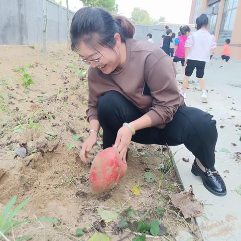 庆丰收，促和美 ——北沟镇中心幼儿园秋收活动