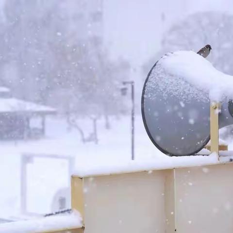 雨雪大风降温天气安全预警