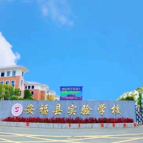 【筑梦·实验·梦博】“教”中有法，“案”生智慧——实验学校教师能力提升特色教学设计展示活动