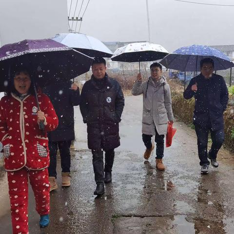 寒冬送温暖，真情暖人心——上泸小学新春慰问退休教师