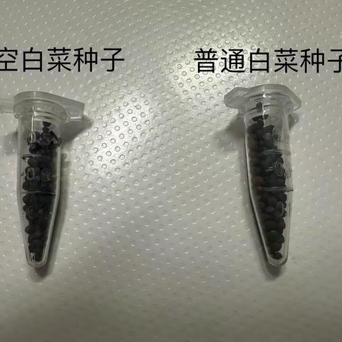 太空植物与普通植物，谁的生命力更强？