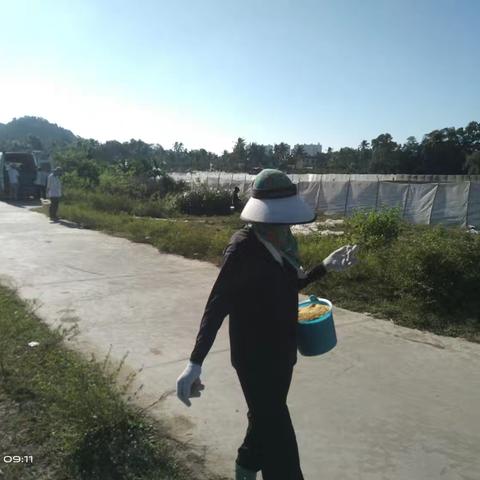 县农业技术管理局联合红火蚁科技有限公司在新坡扑杀红火蚁