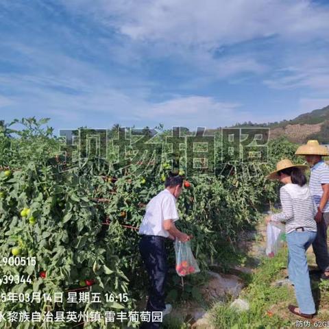 英州镇确保辖区菜篮子基地直供学校农产品质量安全