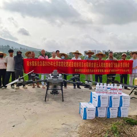 陵水县2025年化学农药减量增效项目 新坡村委会水稻无人机飞防服务工作简报