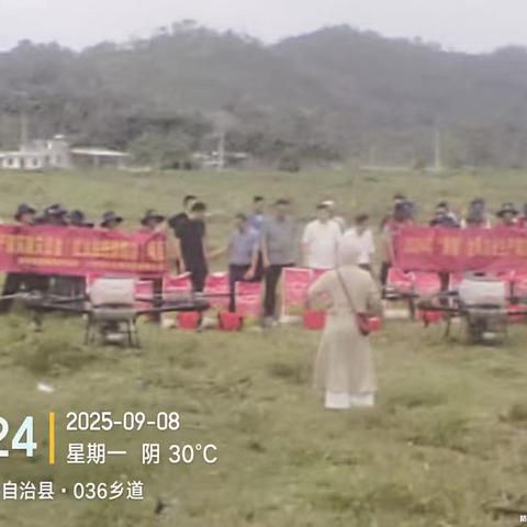 2025年陵水黎族自治县红火蚁扑杀现场会举办
