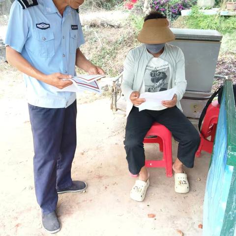 遵守农药名录，守护海南生态与健康