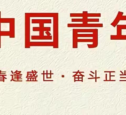 剪报批学，助力年轻干部 学习成长