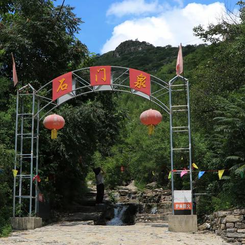 彩虹的文章