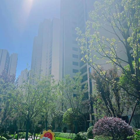『旭辉•国悦府』五月的🌧️让人翻来覆去的梦