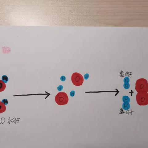 探究分子的分解与重组
