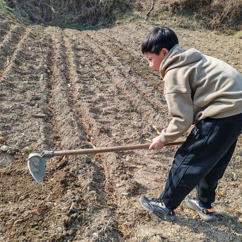 劳动人民的辛苦