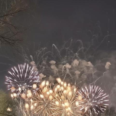 寒假实践作业——宝清二中2021级三班宫禹泽