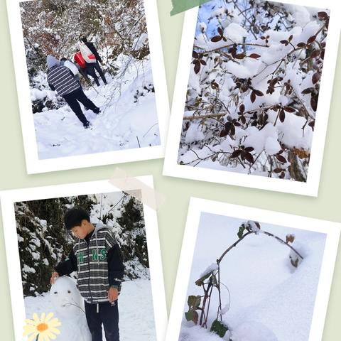 蒿坪镇中心小学六年级五班王忠钰寒假德育实践作业展示——《开开心心过寒假》