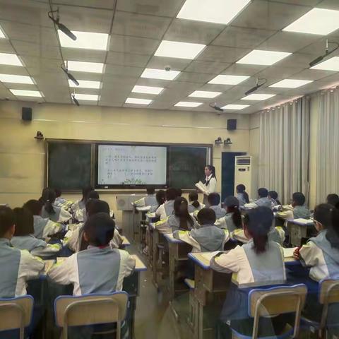 2023年新圩学校小学组语文青年教师课堂教学竞赛活动