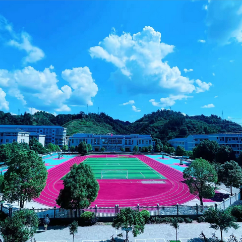 【清明放假通知】托口镇中心小学就“清明节”假期学生安全致家长的一封信