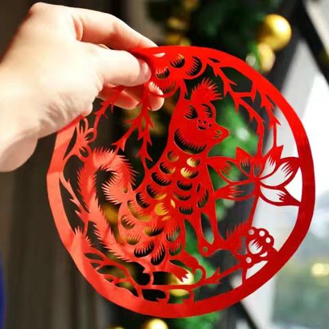 缤纷寒假勤实践 五育并举促成长——颍川教育集团七里学校寒假综合实践活动