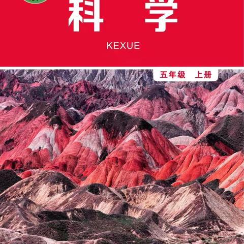 教科版小学科学第四单元《健康生活》大单元备课