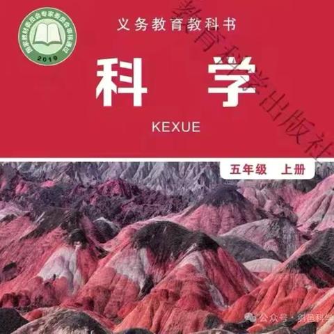 教科版小学五年级上册科学第四单元《健康生活》作业设计