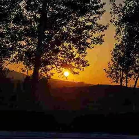 明月共赏，中秋节快乐