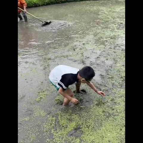 缤纷夏日 欢乐暑假旅行记