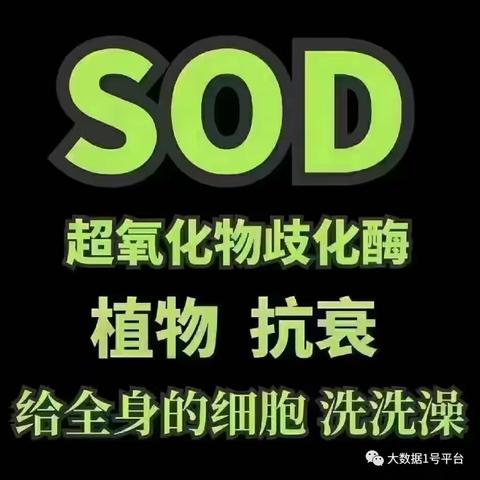 SOP与SOD的距离