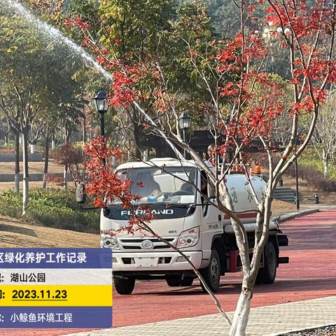 都昌县城区绿地B包养护每日简报2023.11.23