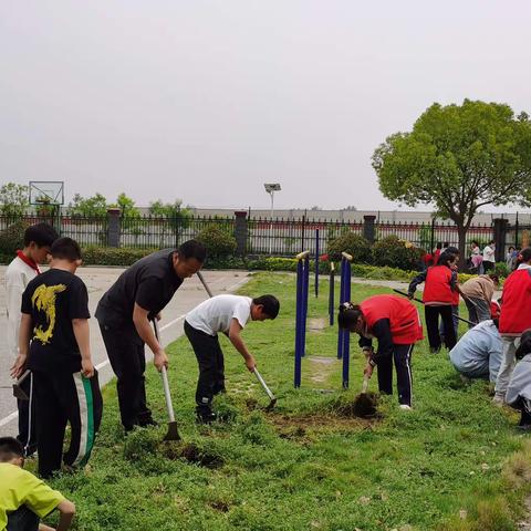 【劳动最光荣】下洼镇蝎子山小学迎五一国际劳动节实践活动—“劳动教育促成长”。