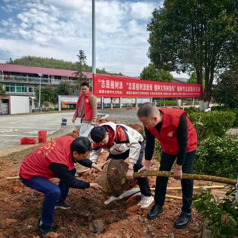 湖源乡开展﻿植树节活动