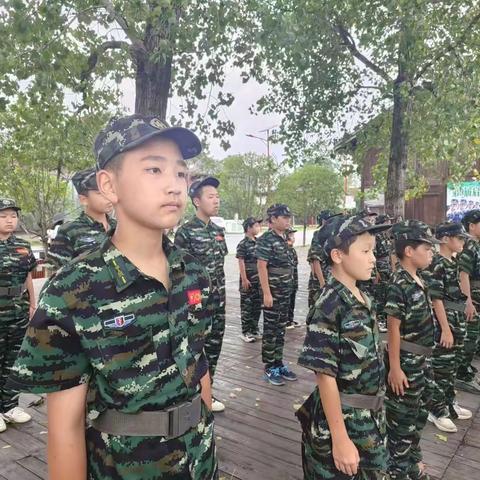 14天的夏令营：坚强的训练，丰富的阅历。
