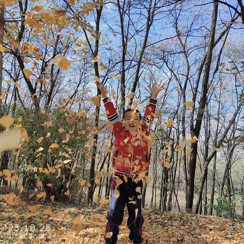 留住秋天，树叶有“画”说