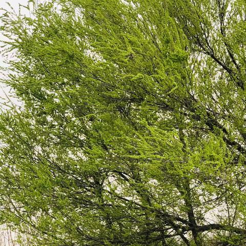 公共服务进社区——幸福里社区联合新城区胡家庙街道办和新城区人社局进行职业指导和就业援助 ‍