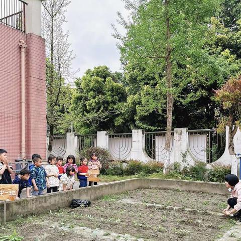 【雨落生百谷，万物皆可期】                        ——水月大一班“二十四节气”主题活动