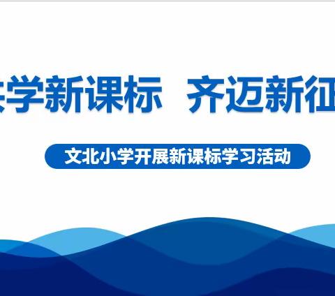 【文北·教研】共学新课标  齐迈新征程——文北小学开展新课标学习活动