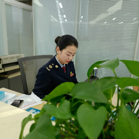 锦旗添彩纳税服务好“枫”景