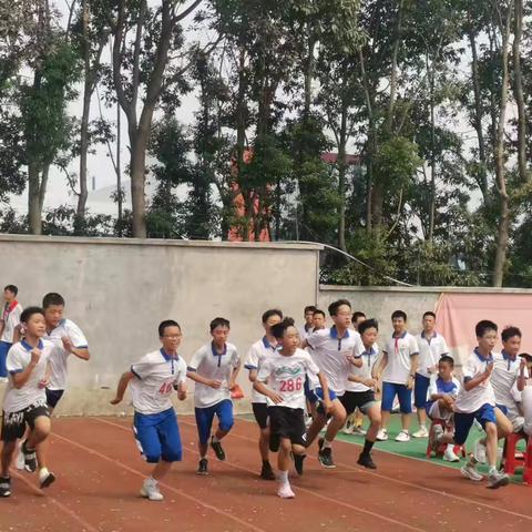 热血 2310：青春燃烧的赛场传奇