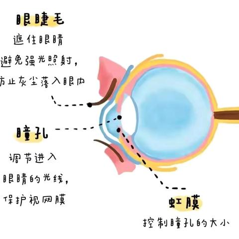 关爱眼睛，从幼儿园开始——第9个近视防控宣传月