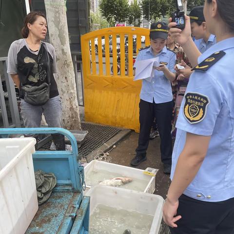 重拳整治菜场污水乱象 优化环境解民忧